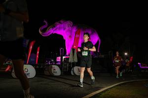 BIB: 
                            <button type="button" onclick="openModal(26534000)" class="btn btn-primary btn-sm float-right btn-popup" data-toggle="modal" data-target=".modal-high-quality">
                        <i class="fas fa-shopping-cart"></i> Add to Cart
                    </button>
                                            <button type="button" onclick="isThisMe(26534000, true)" class="btn btn-success btn-sm float-right btn-popup btn-isme hidden" data-toggle="tooltip" data-placement="bottom" title="นี่คือรูปของคุณใช่ไหม คลิกที่นี่เพื่อเอาเข้าอัลบั้ม">
                        <i class="fas fa-plus"></i> Add to album
                    </button>
                    <button type="button" onclick="isThisMe(26534000, false)" class="btn btn-warning btn-sm float-right btn-popup btn-isnotme hidden">
                        <i class="fas fa-ban"></i> Remove from album
                    </button>